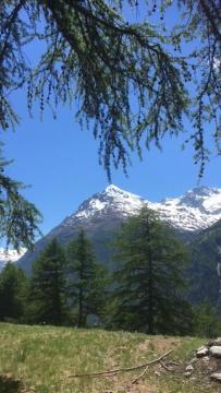Haus Valaisia - Randa Bei Zermatt Διαμέρισμα Εξωτερικό φωτογραφία
